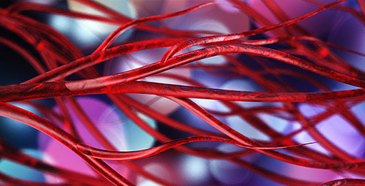 Proteolytic Enzymes: A Novel Approach in Cardiovascular Dietary Supplementation