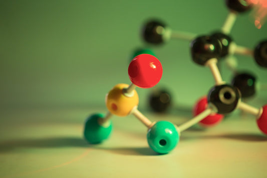 Digestive Enzymes 101: From Amylase to Xylanase