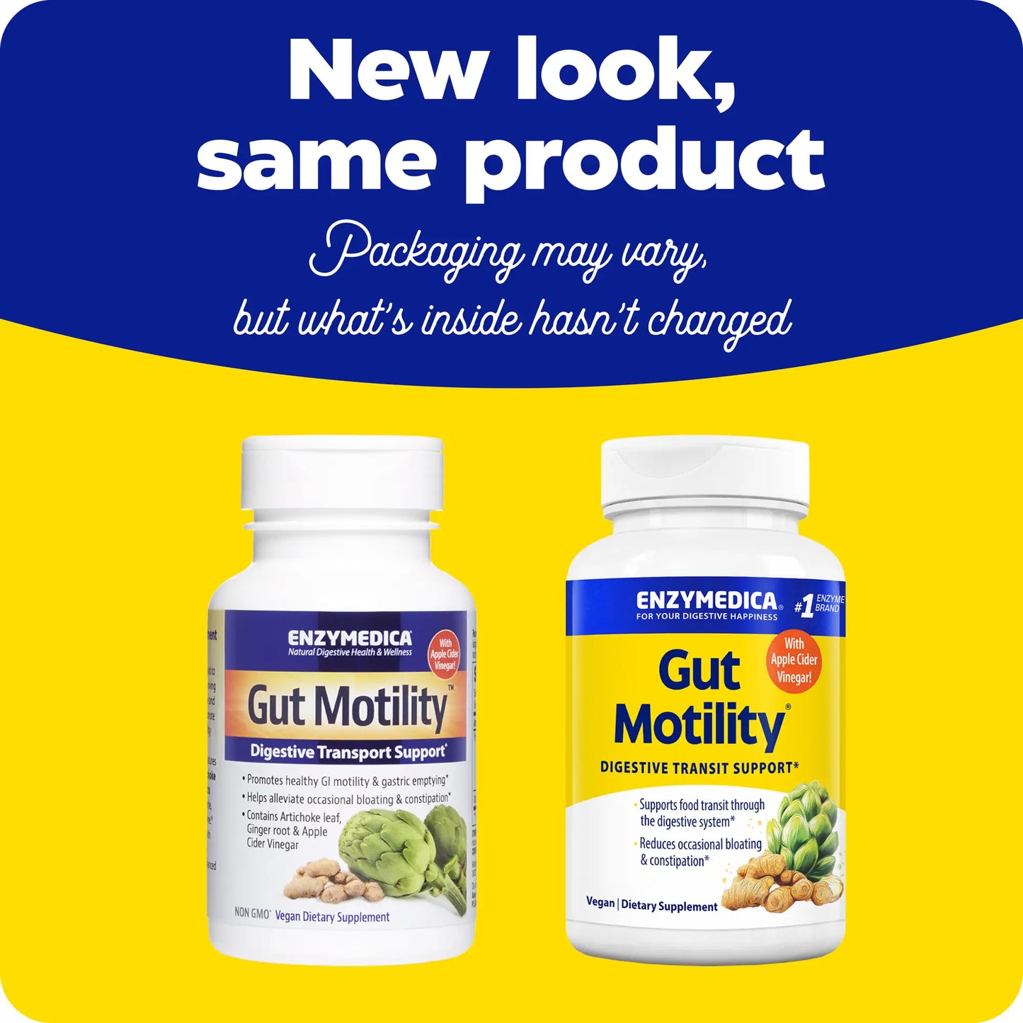 Gut Motility