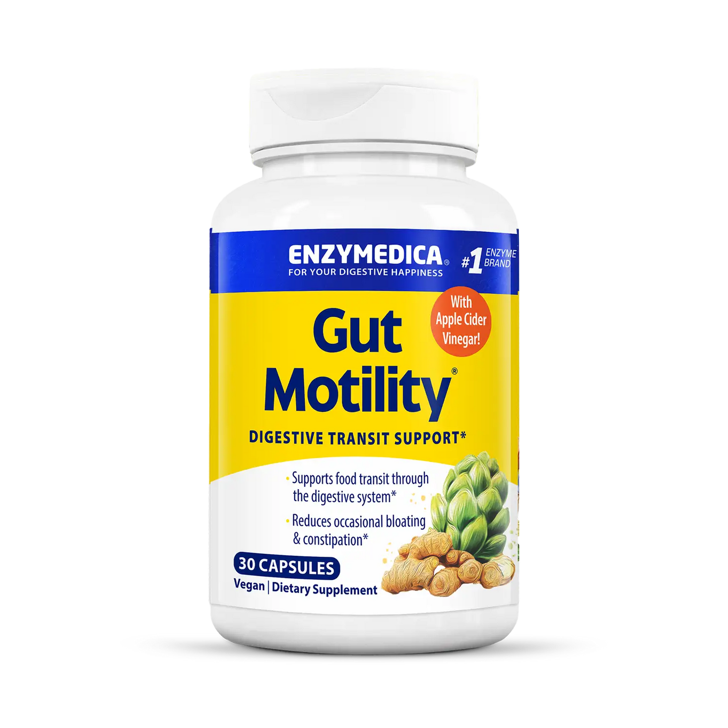 Gut Motility