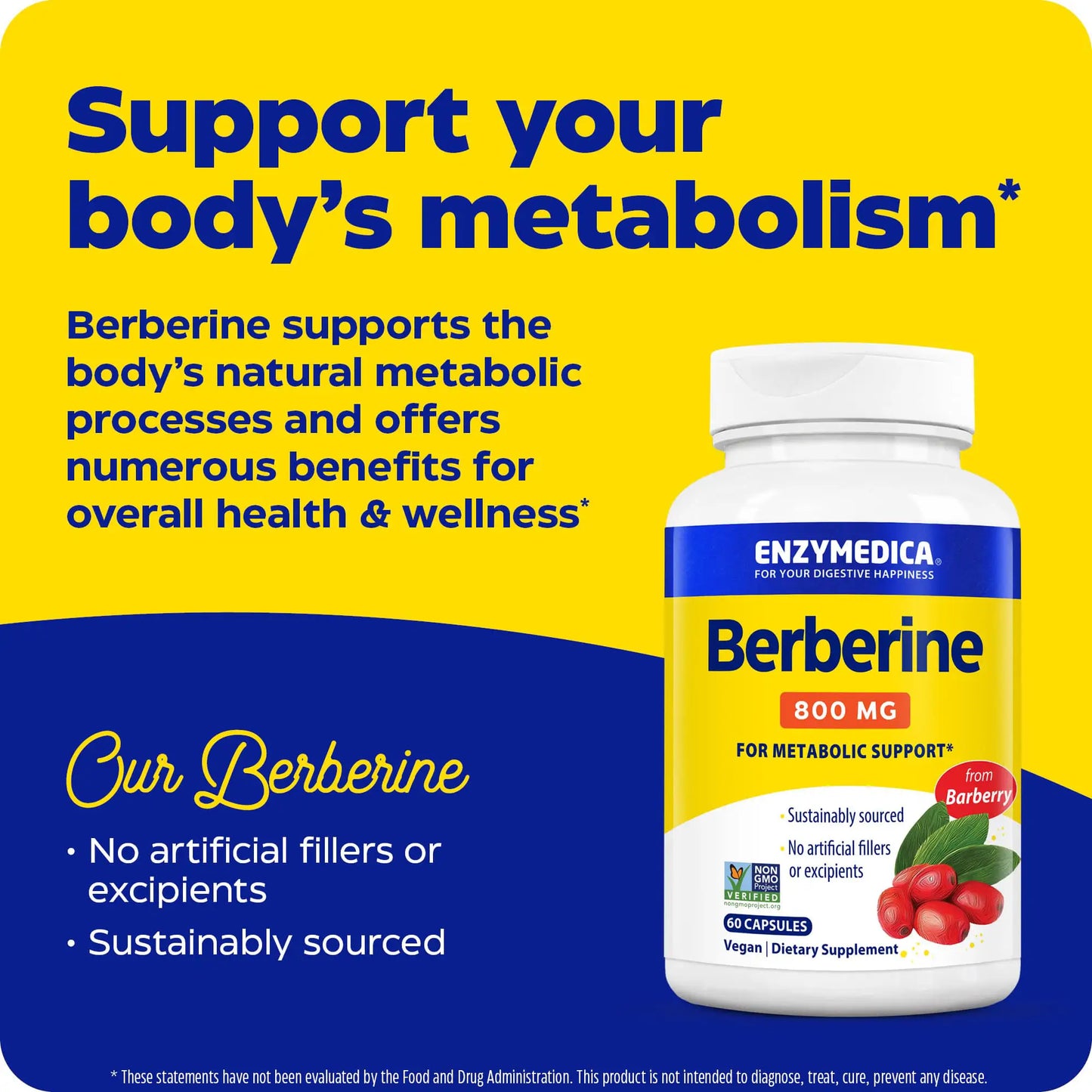 New! Lower Potency, Berberine 800