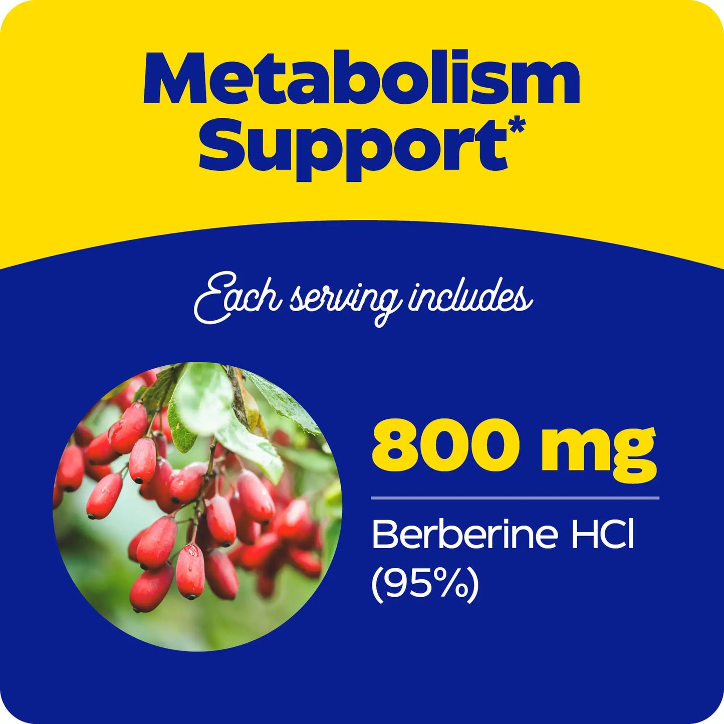 New! Lower Potency, Berberine 800