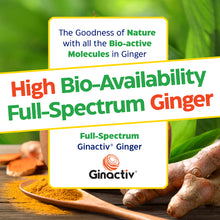 Load image into Gallery viewer, New!  Ginger &amp; Vitamin B6 Gummies
